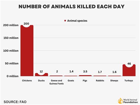 how many animals are killed per year in factory farms